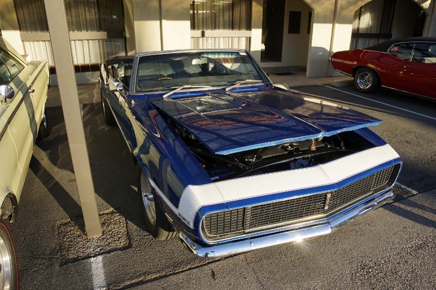 AMCCA Muscle Cars on the Murray 2019 (15) (800x533)
