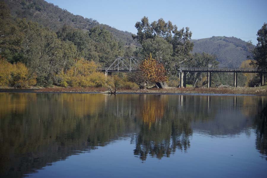 AMCCA Muscle Cars on the Murray 2019 (37) (800x533)