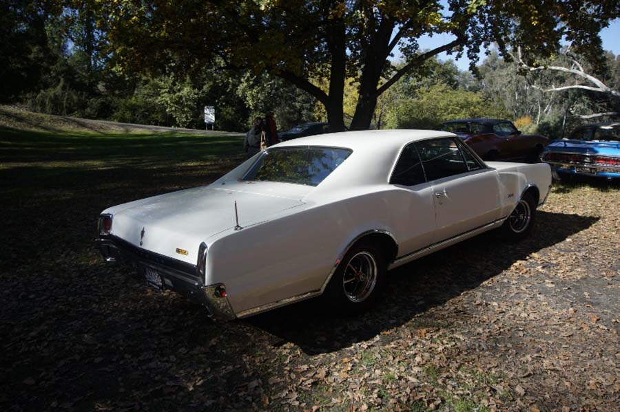 AMCCA Muscle Cars on the Murray 2019 (55) (800x533)