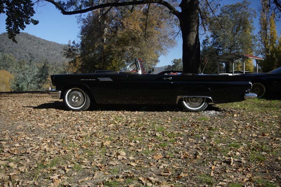 AMCCA Muscle Cars on the Murray 2019 (57) (800x533)